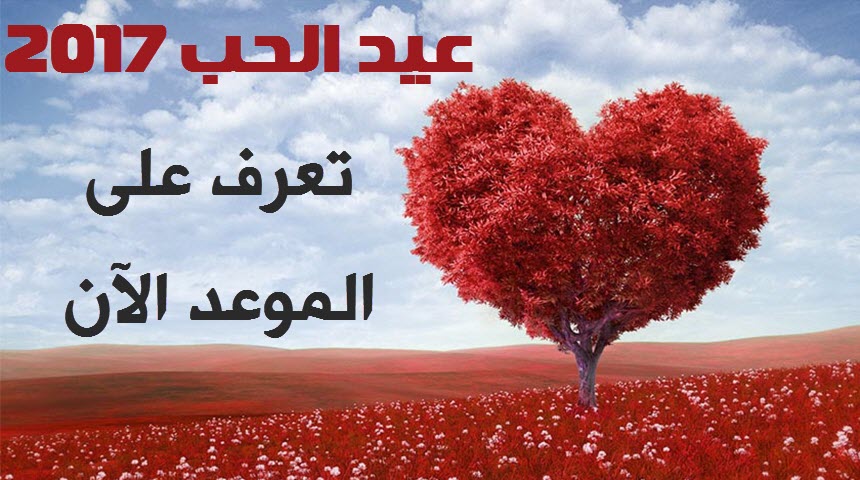 متى عيد الحب 2017 في اي يوم يوافق تاريخ عيد الحب المصري 2017 الموعد في شهر 11 نوفمبر Happy Valentines Day نسائم نيوز